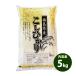���� 5kg �������� ���� �R�V�q�J�� �������Y �ߘa7�N�Y �ꓙ�� ���� 5�L�� �H�i �|�C���g���p