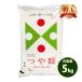 ���� 5kg �������� ���� ���� ��P �R�`���Y �ߘa7�N�Y ��A �ꓙ�� ���� 5�L�� ���������H�i �|�C���g���p