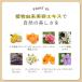 �g���[�g�����g ���y�A �T�����ꔄ �w�A�g���[�g�����g �����Ƃ� ��C �c�� �􂢗��� ���Y�� �I���i �I�[�K�j�b�N 180g �֘A�摜4