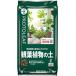  декоративное растение. земля 2L Pro to leaf . покупка 