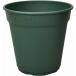 ro там pot 450 type зеленый Apple одежда - rose сад роза цветочный горшок . покупка 
