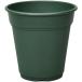 ro там pot 240 type зеленый Apple одежда - rose сад роза цветочный горшок . покупка 