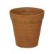 k Ray pot nachu-ru6 номер Brown 172mm×172mm×190mm оливковый декоративное растение . покупка 
