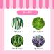 APDC ���C�X�`���[�~�X�g 125ml 2�� �Z�b�g �֘A�摜3