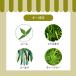 APDC �j�[�����V�g���l���X�v���[ 125ml 2�� �Z�b�g �֘A�摜3