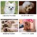 �R���p�b�N �n�[�h�s���X���b�J�[�u���V �֘A�摜4