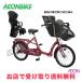 ���A�`���C���h�V�[�g�Z�b�g ���X������� �ې΃T�C�N�� �ӂ�����`���V���V�� 2023�N���f�� �O���X�s���N�u���E��(CH05P) 20�^ FRCH203Z
