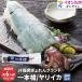 JF.... 1 шт копье ..(....) примерно 350g×2 кубок 