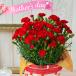 [ День матери стандартный ] гвоздика красный 