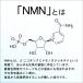 NMN�i�G�k�G���G�k�j �T�v��  nmn  167mg �~ 30���� �j�R�`���A�~�h���m�k�N���I�`�h ���������@�T�v�������g�@AFC���� ���� ��PayPay�� �֘A�摜3