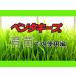�y���^�L�[�vHyper5000 100ml �֘A�摜3