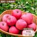 [ Nagano префектура производство ] солнечный .. яблоко . для бытового использования примерно 5kg( есть перевод ) утро .. прямая поставка вдоволь .. тест ...ju-si-lAgriUnion( UGG li Union )