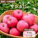 [ Nagano префектура производство ] солнечный .. яблоко . для бытового использования примерно 3kg( есть перевод ) утро .. прямая поставка ...ju-si-lAgriUnion( UGG li Union )
