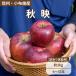 [ Nagano префектура производство ] осень .(....) яблоко . для бытового использования примерно 3kg( есть перевод ) утро .. прямая поставка . толщина .... кислота тест lAgriUnion( UGG li Union )