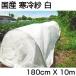 ����� �� �V���Z�C ���Y 1.8m X 10m 1�� 180cm �_�Ǝ��� �ƒ�؉� �Ռ� �h�� �h�� �h�� �h�� �g���l�� �ׂ�����