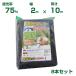 󥻥 ׸ͥå ׸Ψ75 2m10m 8ĥå ()()(Ȼ)(ڱ)(٥)()(200cm)