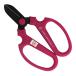  склон источник #59352 рука klie-shonF170 чёрный лезвие violet BP