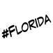 ϥå奿꡼ #FLORIDA ꥸʥ åƥ󥰥ƥå