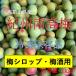  синий слива Wakayama префектура производство рефрижератор слива сок сливовое вино для слива сироп 1kg юг высота слива . кастрюля блок 