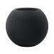 Apple HomePod mini MTJT3J/A [ midnight ][ ваш заказ (1 неделя из 10 рабочий день степень ).. поступление, отправка ](2100000016615)
