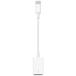 [ почтовая доставка ]Apple USB-C-USB адаптер MW5L3AM/A[ ваш заказ (3 рабочий день из 6 рабочий день степень ).. поступление, отправка ](2100000016657)