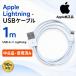 ���� Apple���� USB-A-Lightning�P�[�u���i1m�j iPhone/iPad�Ή� iPad�{�̕W���t���i ��������