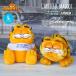 USED товар Garfield мягкая игрушка L 2 вид Vintage товар герой эмблема кукла кошка кошка интерьер симпатичный оборудование орнамент украшение GARFIELD America смешанные товары 