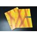  доставка внутри страны Symantec System Recovery 2011 3 шт. комплект б/у товар 