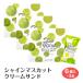  Shinshu производство автомобиль in мускат крем Sand 6 штук ×3 коробка Shinshu . дуть . печенье Nagano . земля производство сладости конфеты кондитерские изделия автомобиль in мускат шт упаковка 