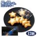 �X�^�[���r���b�W���q ���ɑz���� 12�� �^���g�N�b�L�[ ���y�Y