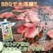 ���炬��킳�� 150g�~5�� �������� �킳�� �R�� ���T�r ���ܖ� �}���C �h�g �����Ђ� �� �֘A�摜4