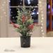  елка снег косметика tree маленький размер игольчатое дерево подлинный товар целиком momi. сосна подробно внешний вид елка Северная Европа способ модный Event party изобилие . ветка число тонкий 