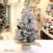  игольчатое дерево обнаженный tree елка настоящий подлинный товар целиком модный изобилие . ветка число momi. сосна подробно внешний вид елка магазин оборудование орнамент открытие праздник . новое здание праздник .