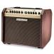 FISHMAN LOUDBOX MINI Bluetooth Fishman электроакустическая гитара усилитель новый товар витрина выставленный товар 