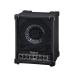 Roland CM-30 Cube Monitor Roland small size multipurpose monitor amplifier 
