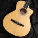 Taylor 112ce-N �e�C���[ 100 Series �G���K�b�g
