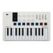 ARTURIA MINILAB 3 (WH) compact MIDI клавиатура & накладка * контроллер 