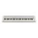 CASIO CT-S1WE 61 клавиатура compact электронный клавиатура Casiotone