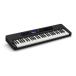 CASIO CT-S400 клавиатура тонкий . корпус . разнообразный звук цвет . функция Casio цветный 