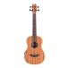 Cordoba MINI II BASS MH-E NATURALkorudoba compact корпус Mini электрический акустический бас 