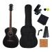 Legend FG-15/BK стандартный 8 позиций комплект ARIA/ Aria Family * бренд / начинающий рекомендация введение комплект 