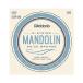 D'Addario EJ62 �_�_���I �}���h������ 80/20�u�����Y Light .010-.034