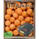  "солнечный круг" мандарин Ehime префектура производство (JA....) зеленый 0 M~L размер 5kg