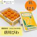  Tang river loquat Ehime prefecture production (JA... centre ) 4L 12 sphere vanity case entering .. city loquat 