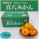  подлинный дыра мандарин Ehime префектура производство (JA....) M-L размер 3kg. для бытового использования 