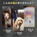 ���p ���C���R�[�g �|���`�� ���p�i ��������� ���U�� ���^�� ���^�� ��^�� ������ �傫�� �J�b�p �J�̓� �֘A�摜1