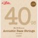 [���~2�Z�b�g]ARIA AGS-600AB �A�R�[�X�e�B�b�N�x�[�X��[40-95]�~2�Z�b�g/���[���֔����E��������s�� �֘A�摜1