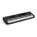 CASIO CT-S400 клавиатура тонкий . корпус . разнообразный звук цвет . функция Casio цветный 