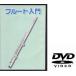 KC KDFL100 флейта для ..DVD/ почтовая доставка отправка * наложенный платеж не возможно 