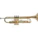 [ Manufacturers 3 year support ]J.Michael TR-200 introduction 7 point set trumpet 